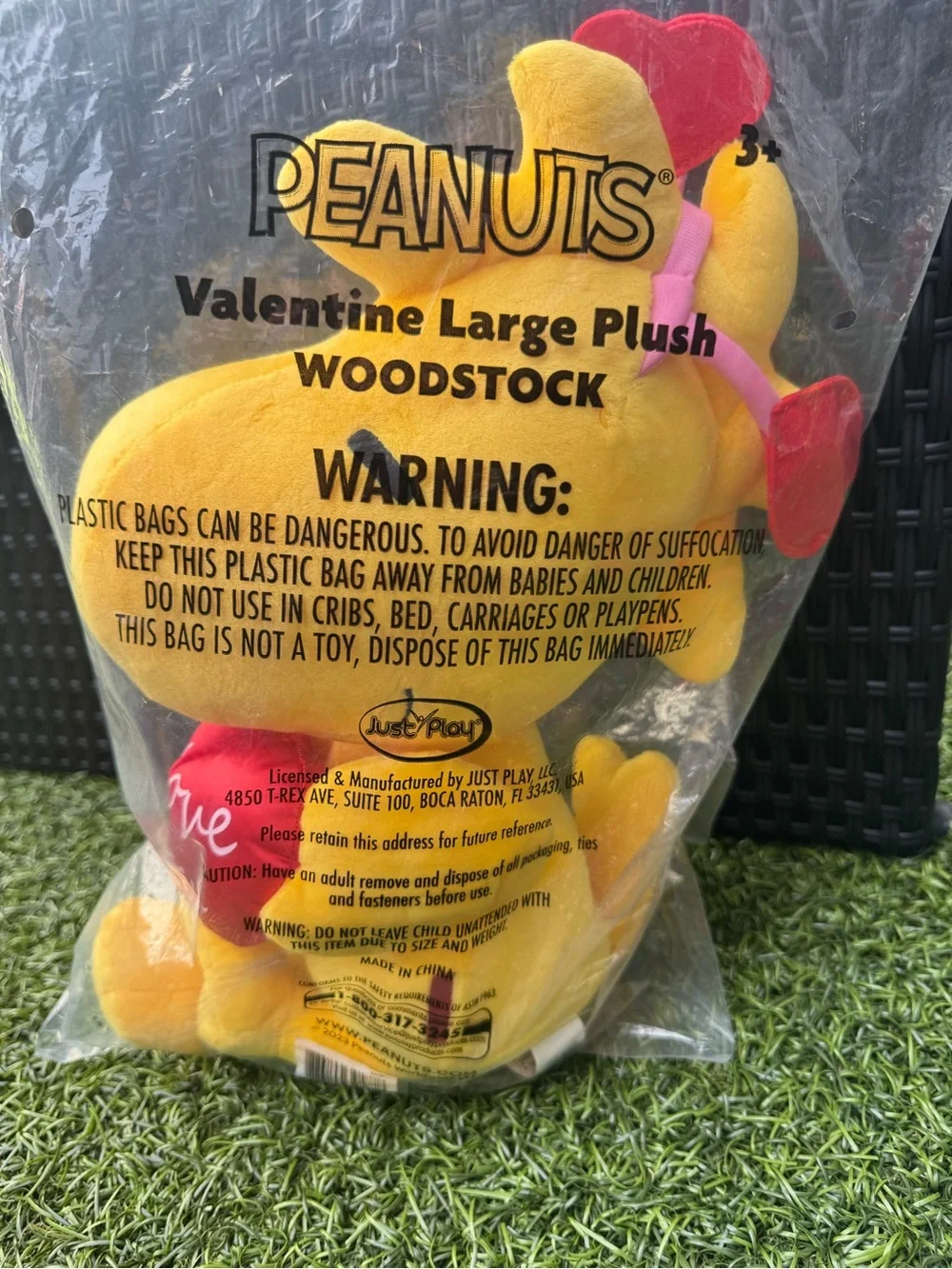 🎀 Peanuts Woodstock Valentine Large 15